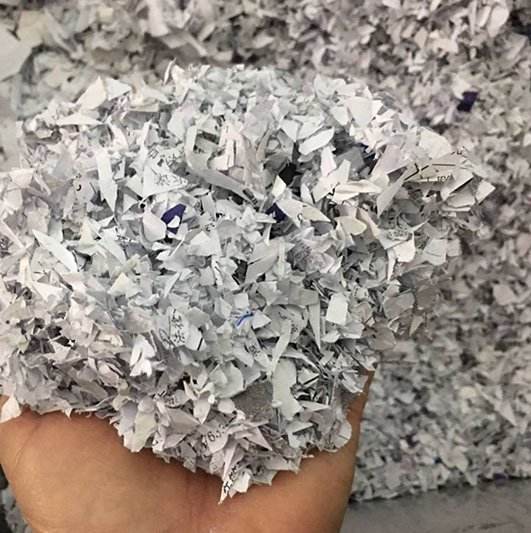 广州废标书销毁